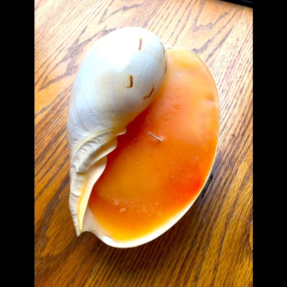 Seashell Candle
